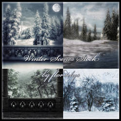 Winter Scenes