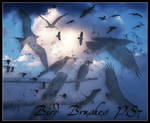 Birds by flordelys-stock