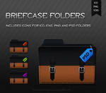 Briefcase Folders