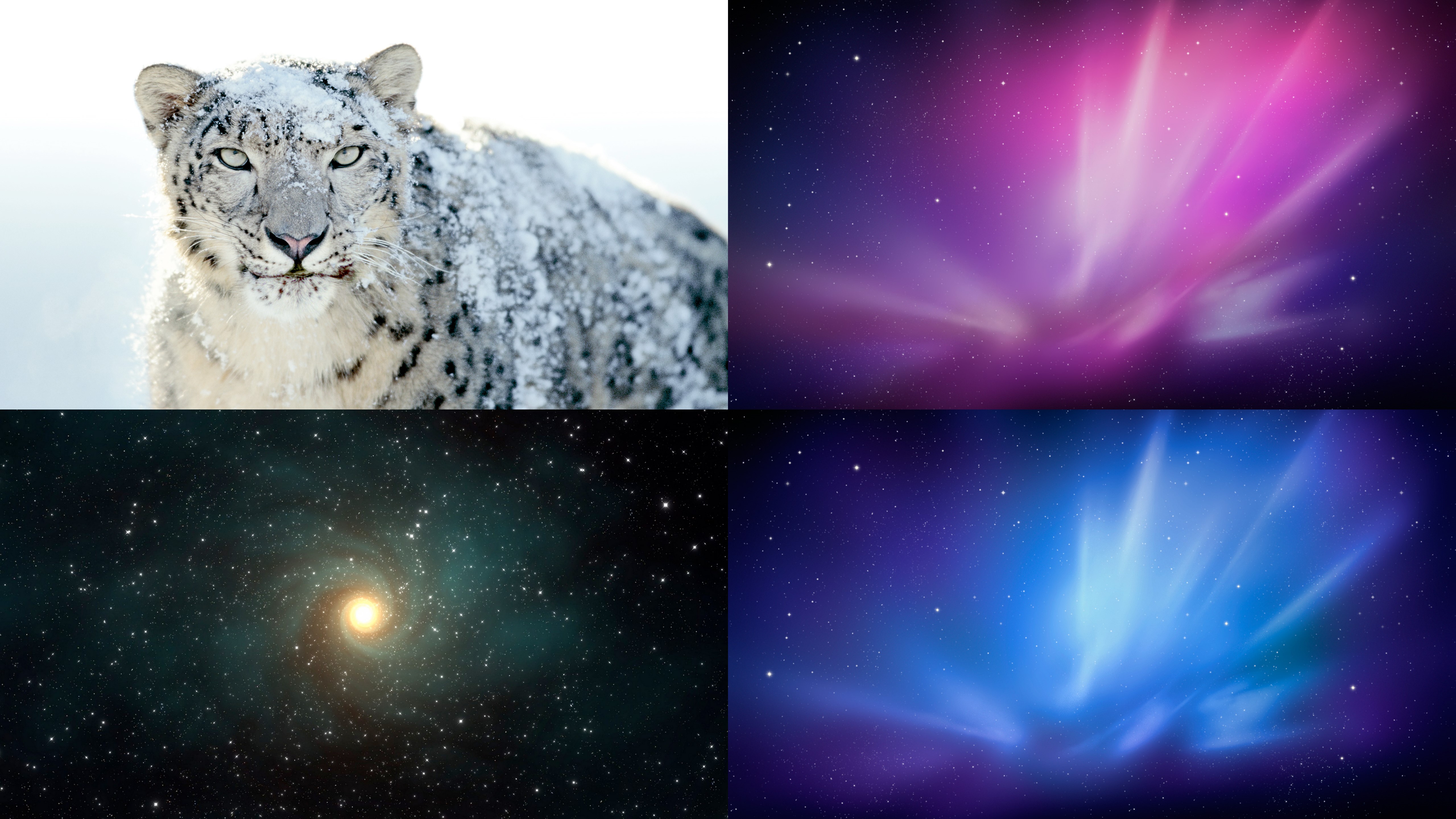 Snow Leopard Wallpaper Pack