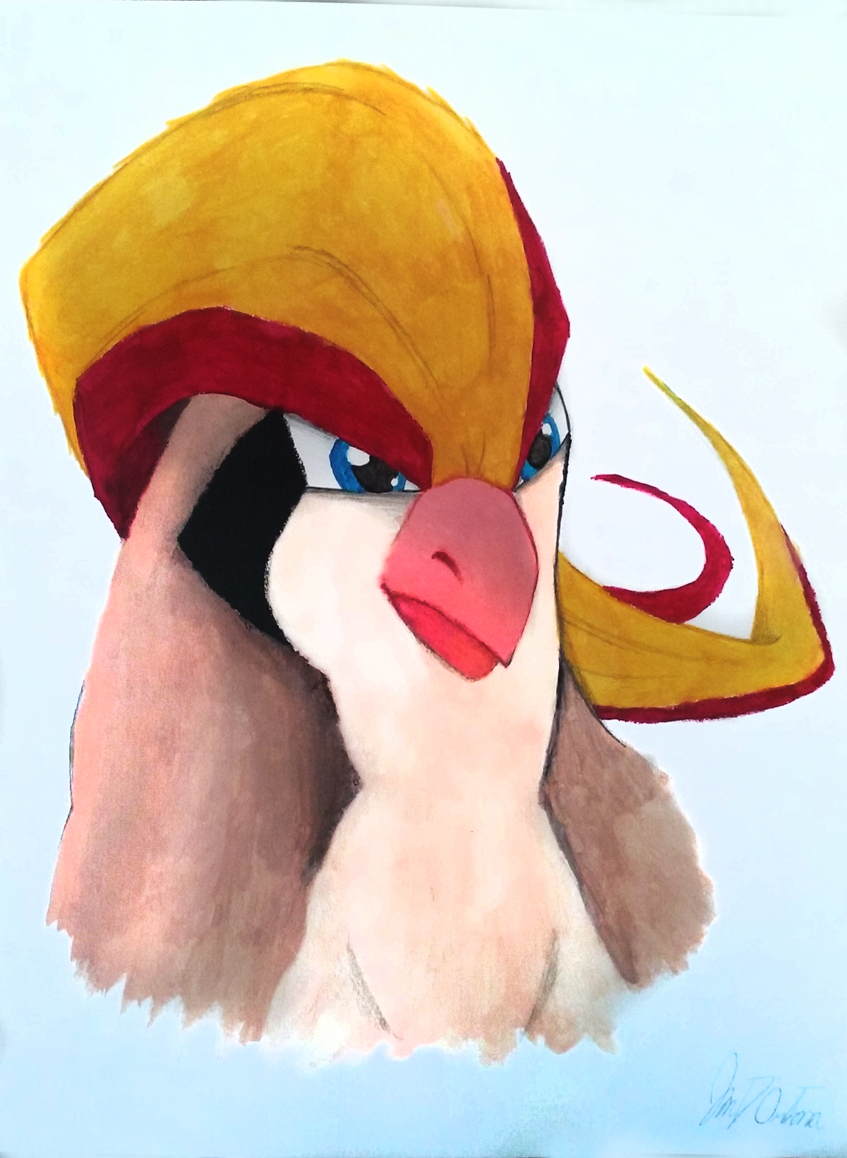 Pidgeot by Jae-Di on DeviantArt