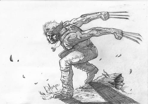 Wolverine Logan pencil drawing 