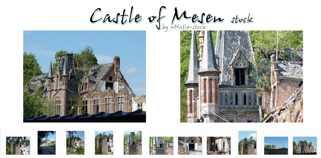 Castle of Mesen stock