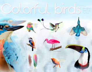Colorful Birds