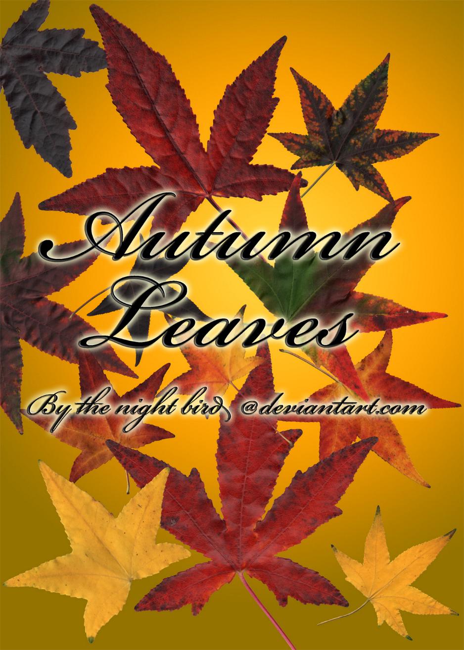 Autumn Leaves.PSD
