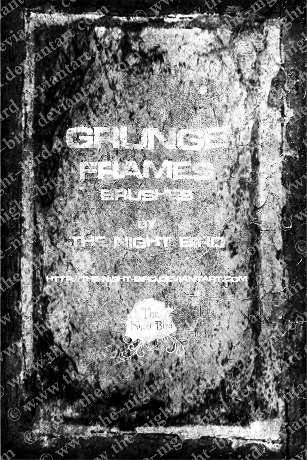 Grunge Frames Brushes...