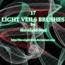 Light Veils Brushes...