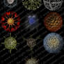 Haeckel Spheres Brushes 02