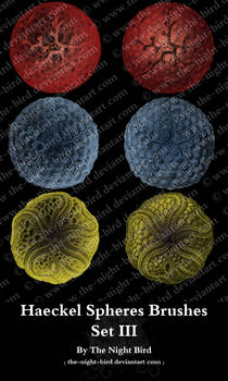 Haeckel Spheres Brushes 03