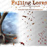 Falling Leaves PNG's