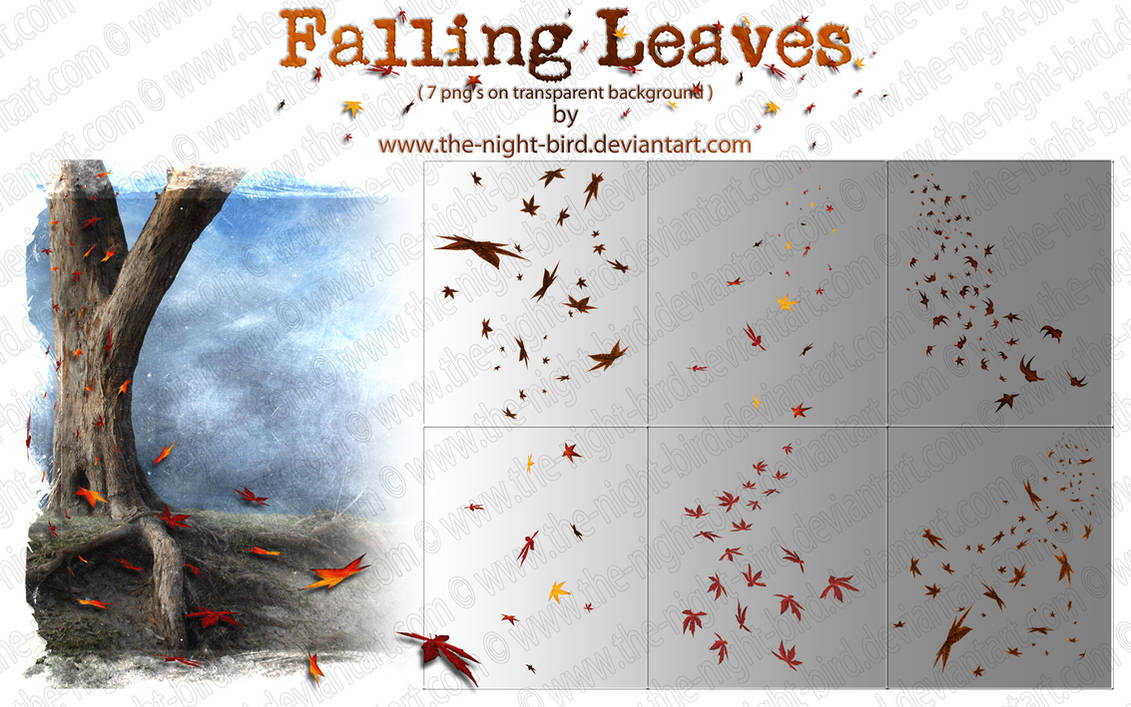 Falling Leaves PNG's by the-night-bird on DeviantArt