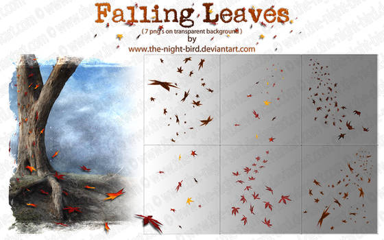 Falling Leaves PNG's