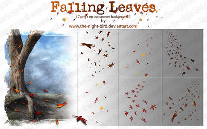 Falling Leaves PNG's