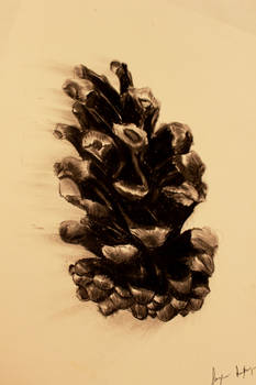 Carbon Pinecone