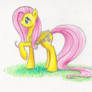 Fluttershy