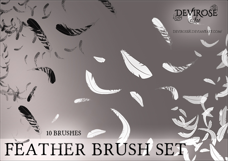 Feather Brushes Set by Devirose81 on DeviantArt