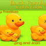 Icons Duck Family
