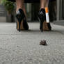 Crushed with the cigarette