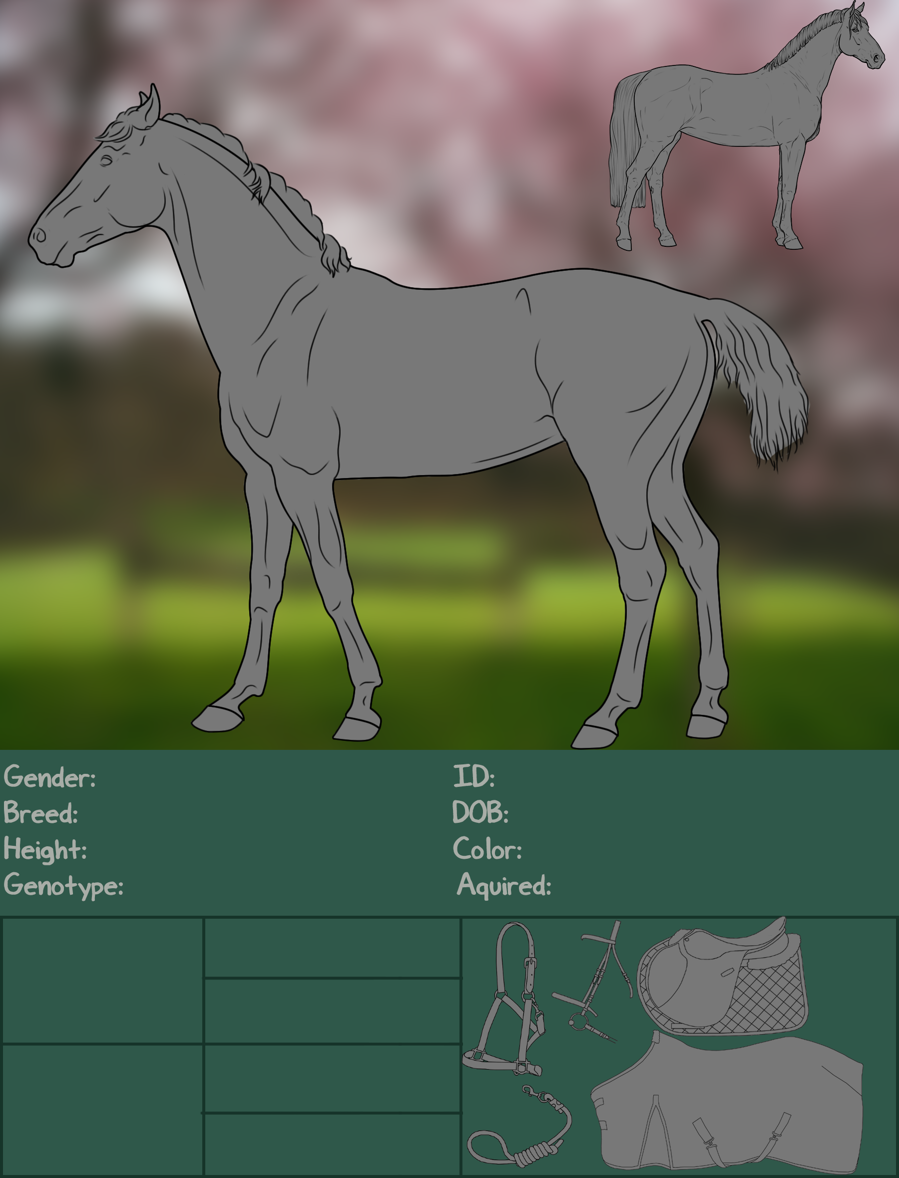 Horse Information Sheet by BlazedStables on DeviantArt
