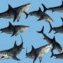 9 Monster Shark Stock PNG's