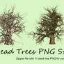 Dead Trees Pack PNG Stock