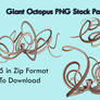 Giant Octopus PNG Stock