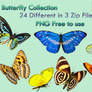 Butterfly Collection Stock Pack 2