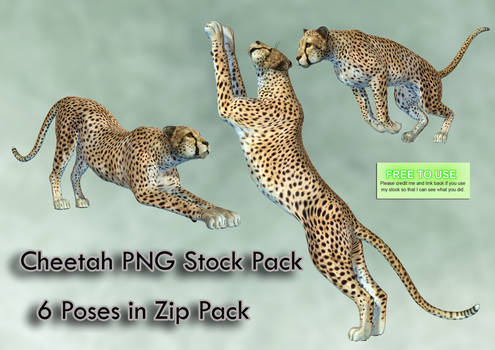 Cheetah PNG Stock Pack