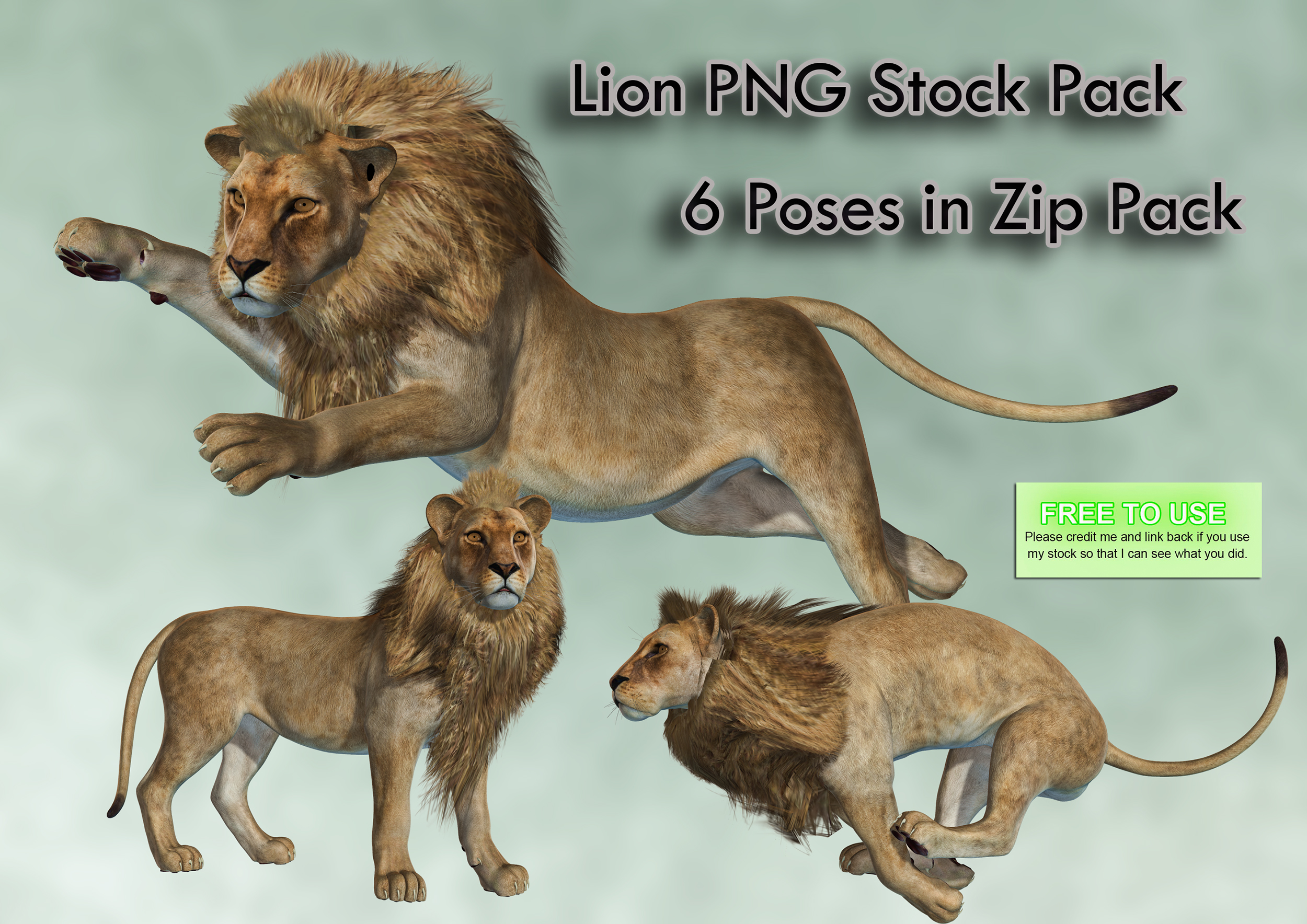 Lion PNG Stock Pack