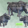 Rhino PNG Stock Pack