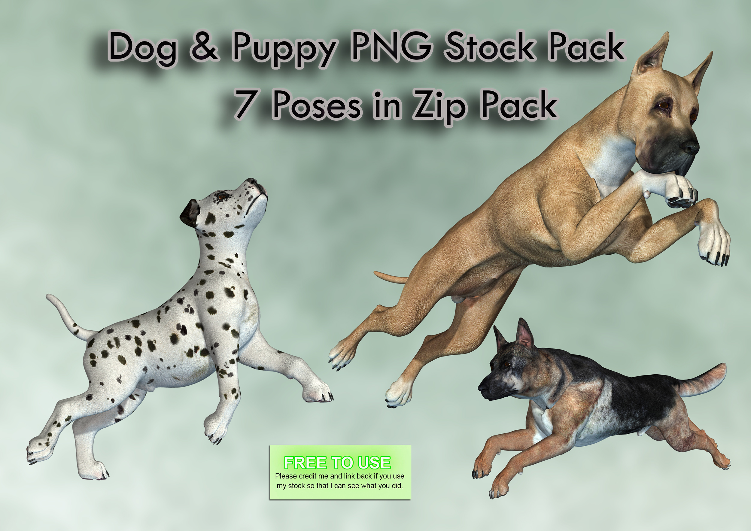Dog And Puppy PNG Stock Pack