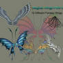 Magical Wings PNG Stock Pack
