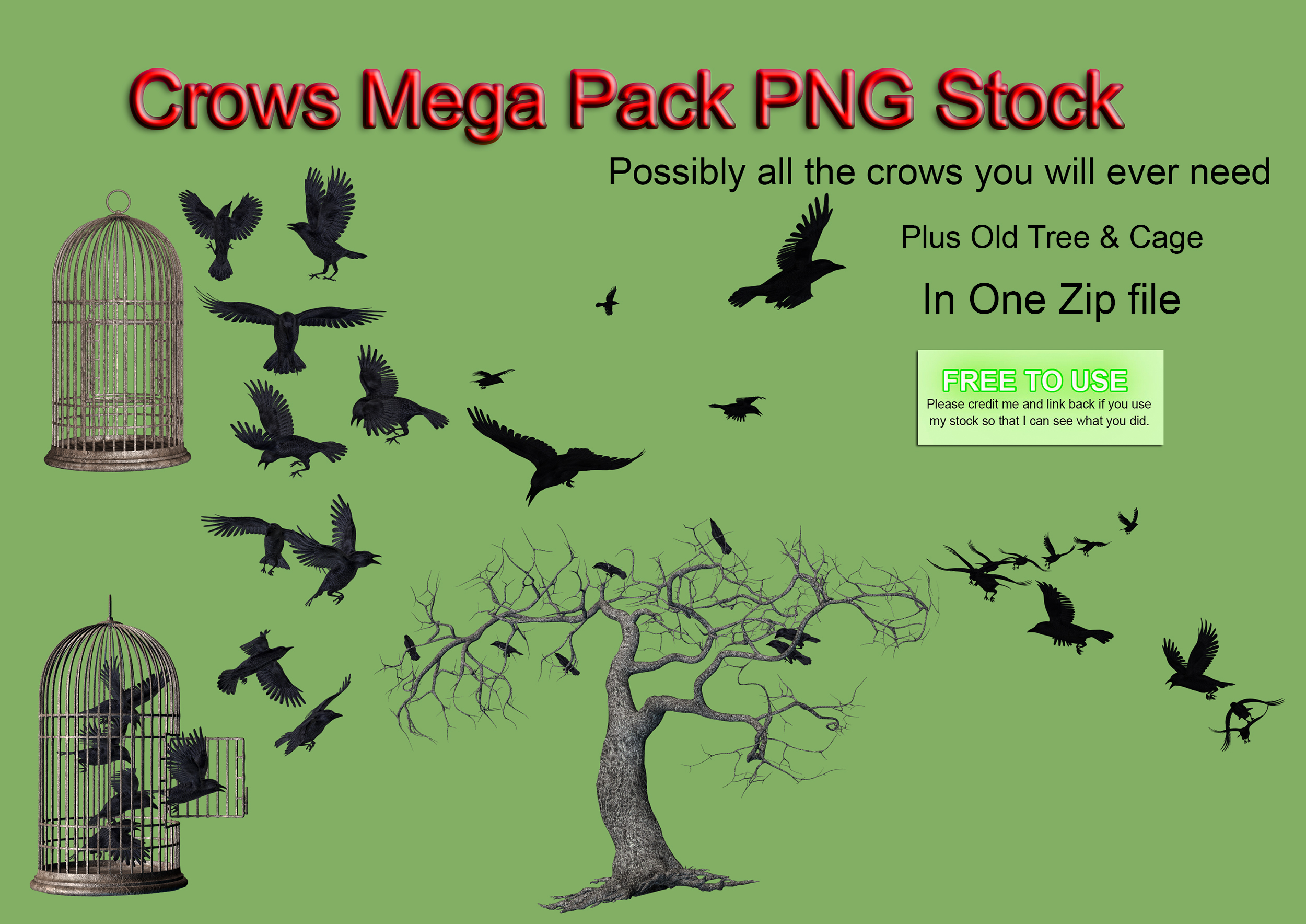 Crows Mega Pack PNG Stock