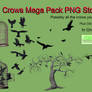 Crows Mega Pack PNG Stock