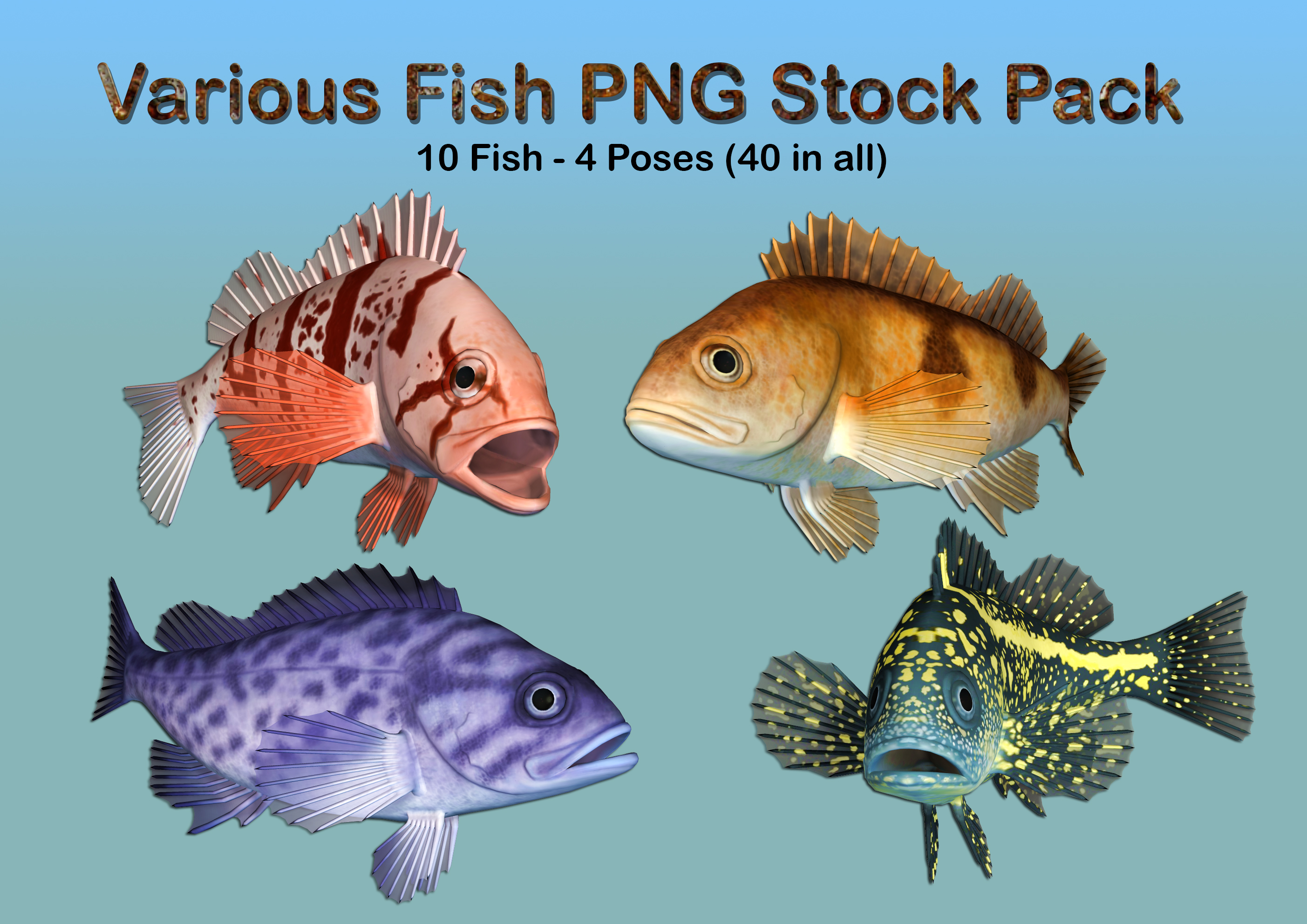 Various Fish PNG Stock Pack