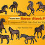 Horse PNG Stock Pack