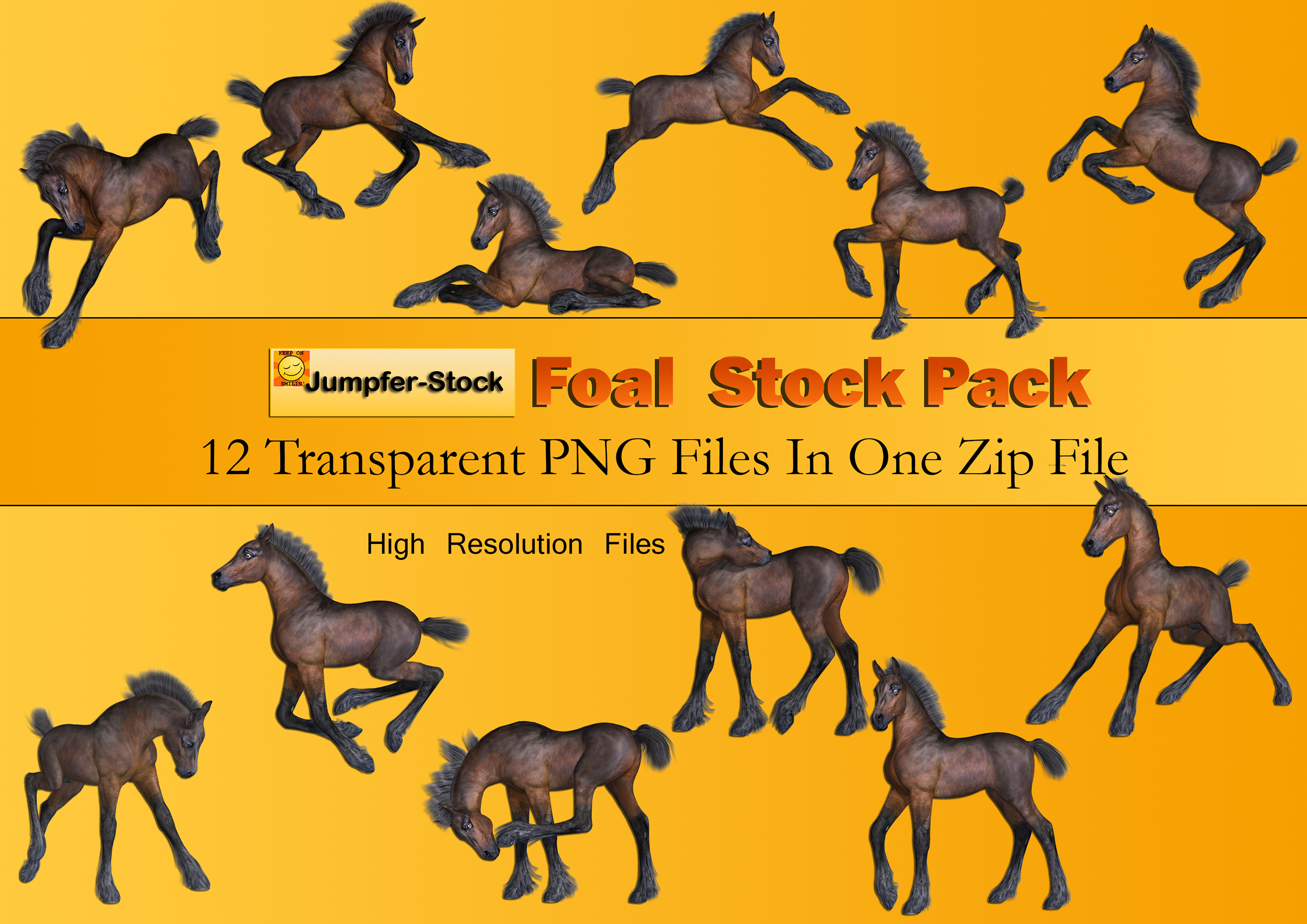 Foal PNG Stock Pack