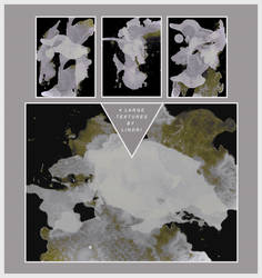 White Lily Textures