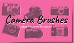 Camera Brushes ( Gimp ) by thecattygrl