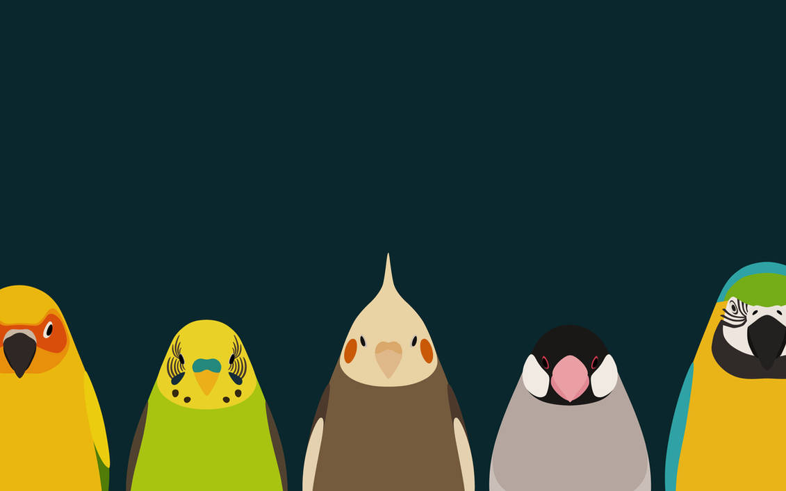 Five Birds - tori no iro by birnimal