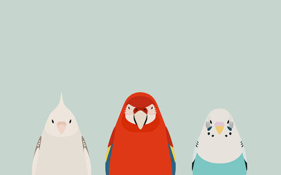 Three Birds - tori no iro