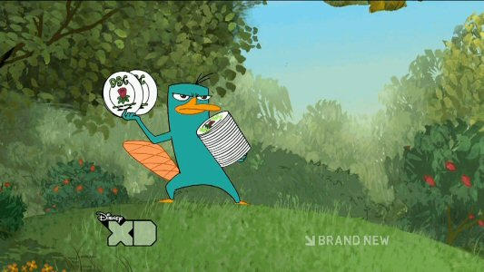 Perry The Platypus Frisbee Battle Animated By Jaycasey On Deviantart Cartoons are for kids and adults! perry the platypus frisbee battle