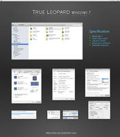 True Leopard VS Win 7