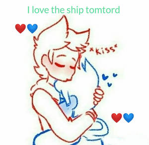 I like tomtord