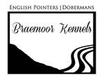 Logo by Braemoor