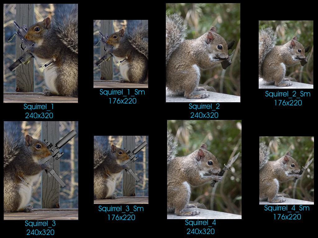 sQuiRRel_PaCk