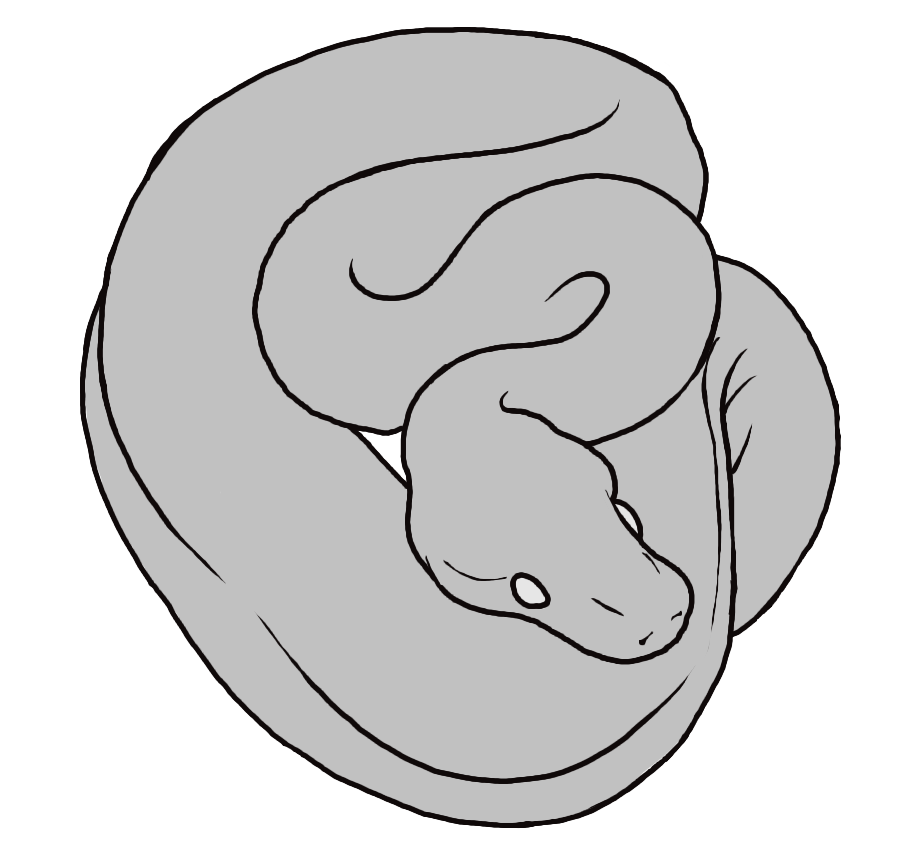 Python Lines - PTU by TheBlackAlicorn on DeviantArt