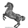 Free to Use Greyscale - Lipizzaner