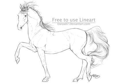 Free to Use Lineart - Warmblood Side