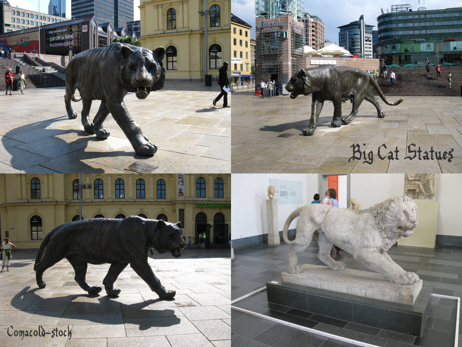 Big Cat Statues pack